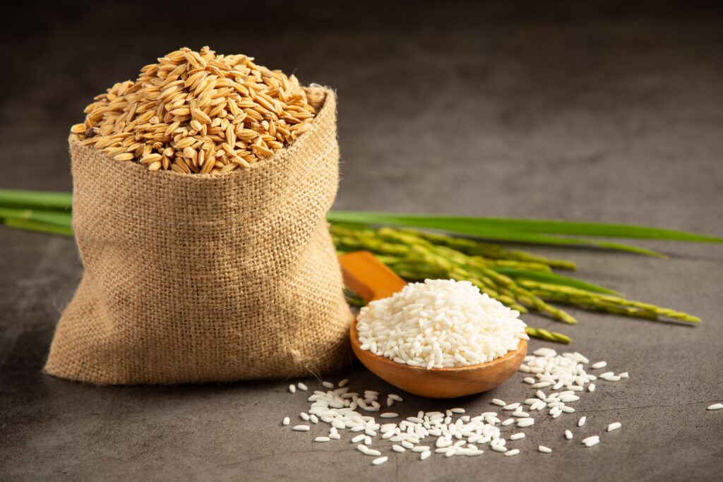 Uncooked brown rice in a cloth bag next to a bowl of cooked white rice, showing the difference between the two.|布袋中的生糙米與一碗煮好的白飯,呈現糙米與白米的差異。